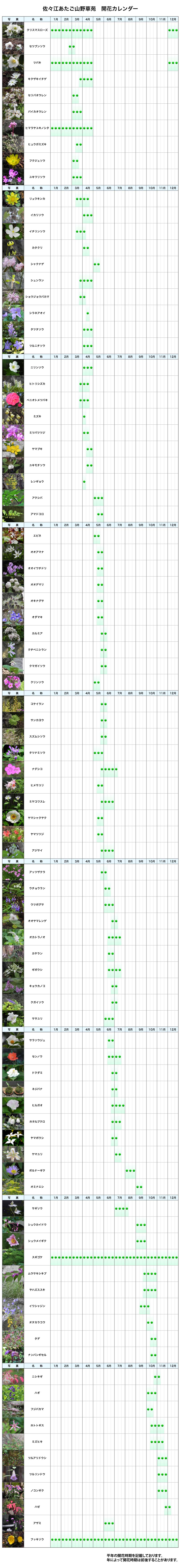 開花カレンダー