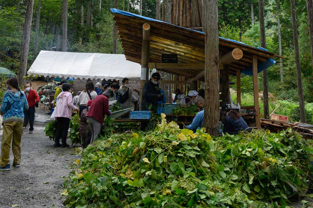 賑わう山野草苑風景