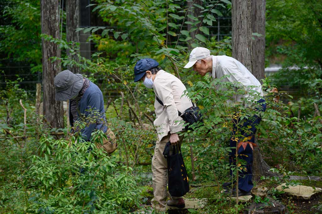 賑わう山野草苑風景